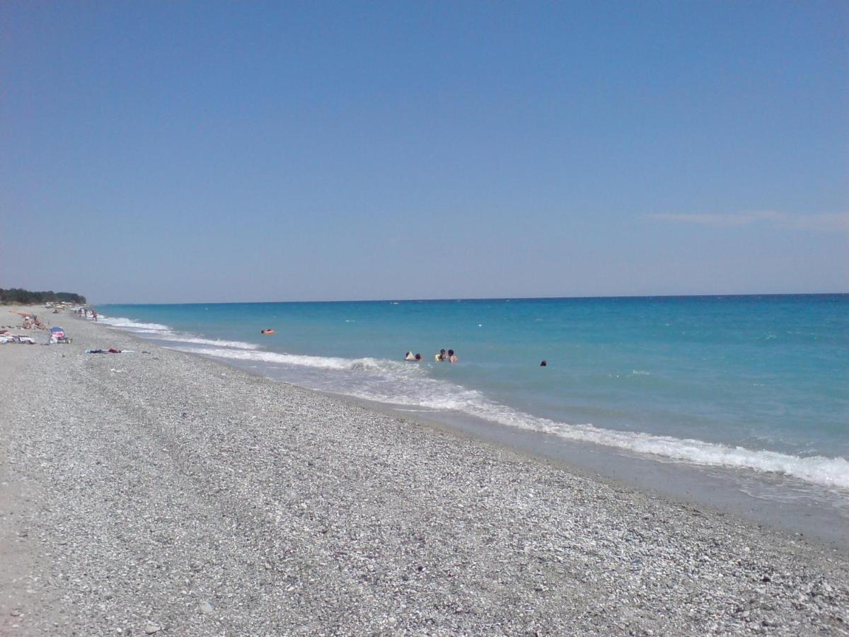 Avellana Luxury Suites Λεπτοκαρυά Εξωτερικό φωτογραφία
